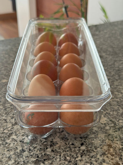 CONTENEDOR ACRILICO PARA 12 HUEVOS