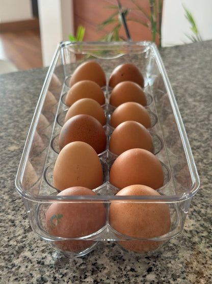 CONTENEDOR ACRILICO PARA 12 HUEVOS