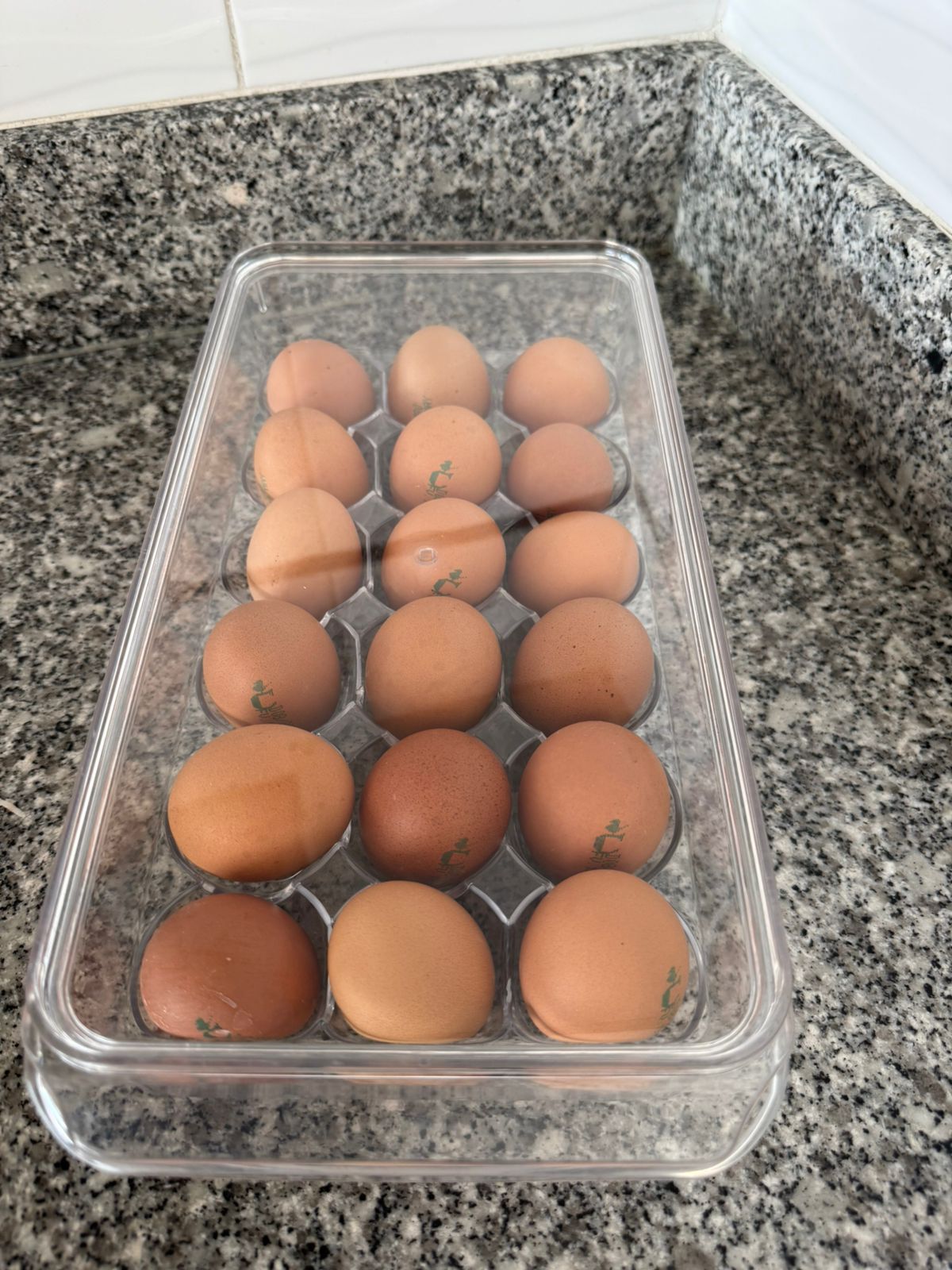 CONTENEDOR ACRILICO PARA 18 HUEVOS