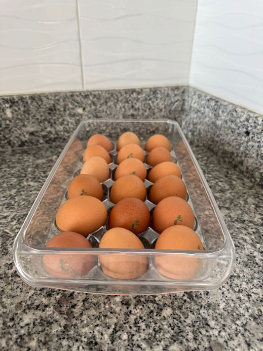 CONTENEDOR ACRILICO PARA 18 HUEVOS